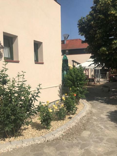 Vadasz Panzio Es Etterem Szombathely Exteriér fotografie